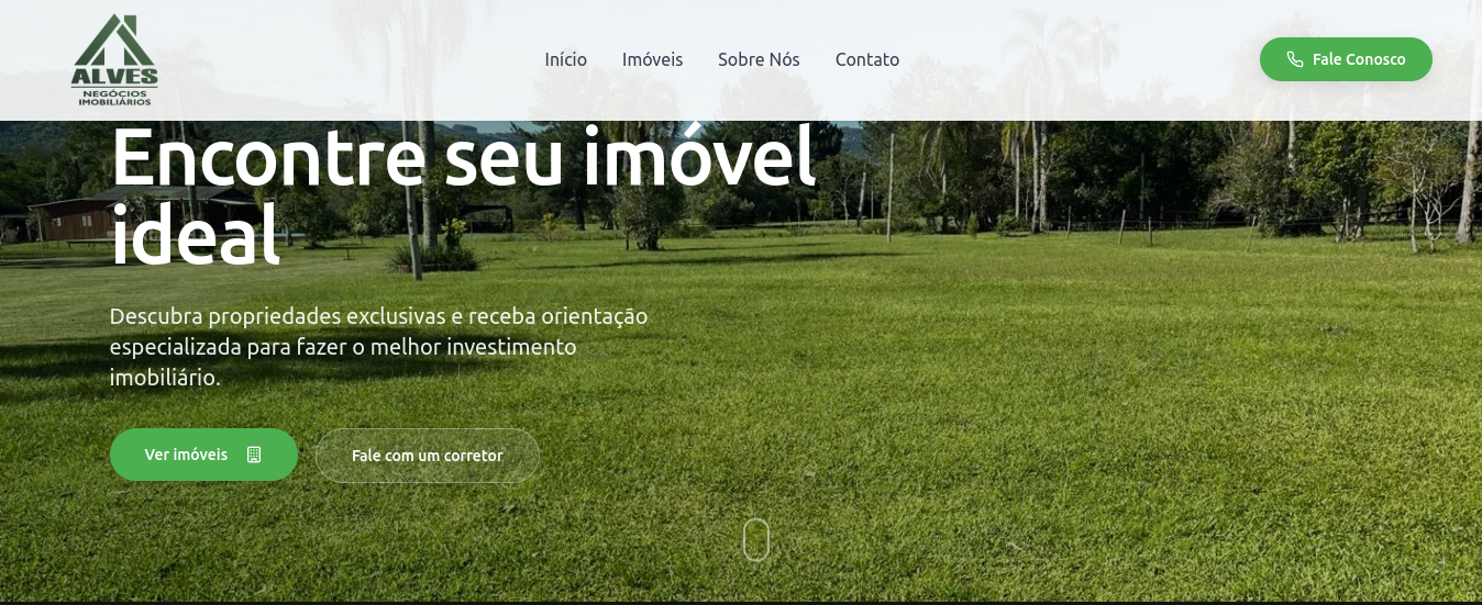 Tela do projeto Alves Negócios